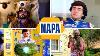 All The Best Napa Know How Funny Auto Parts Commercials