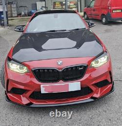 Bmw Gts Style Carbonfiber Bonnet
