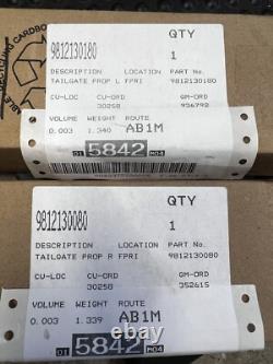 Citroen C4 Grand Picasso Boot Struts