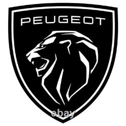 Tube de filtre à particules Peugeot d'origine 9841854880